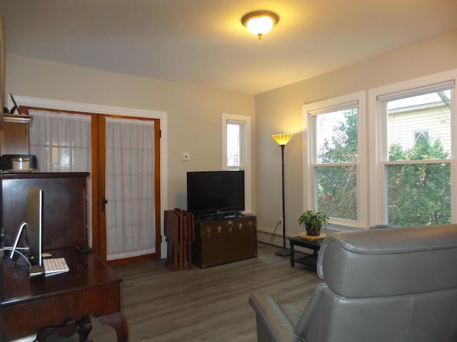 living room featuring hardwood / wood-style flooring and french doors