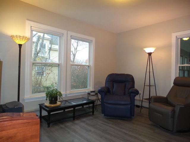 living area featuring baseboard heating and hardwood / wood-style floors