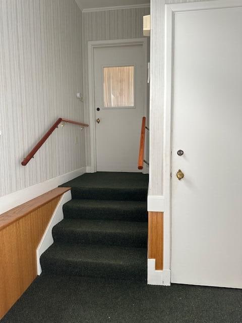 stairs with carpet floors