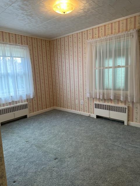 spare room with carpet floors and radiator