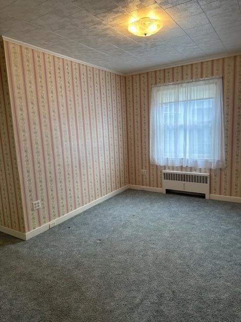 carpeted empty room with radiator heating unit