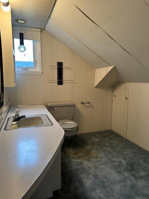 bathroom with vanity, toilet, lofted ceiling, and a textured ceiling