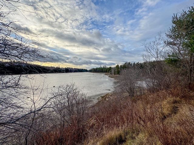 property view of water