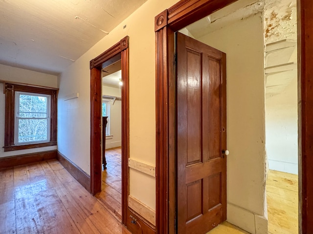 corridor featuring light hardwood / wood-style floors