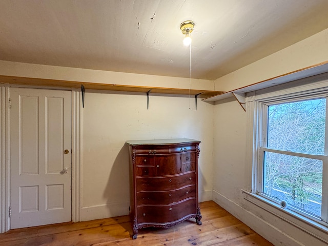 spacious closet with light hardwood / wood-style flooring