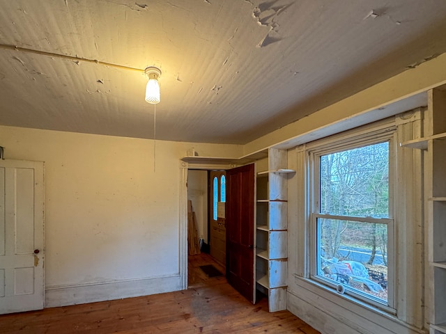 spare room featuring wood-type flooring