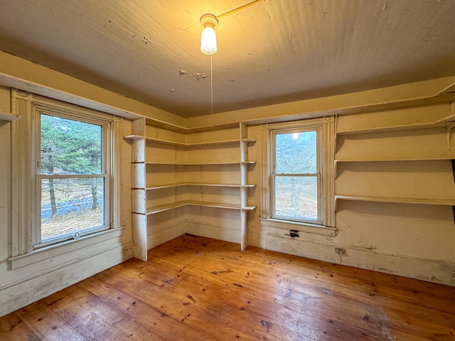 interior space with wood-type flooring