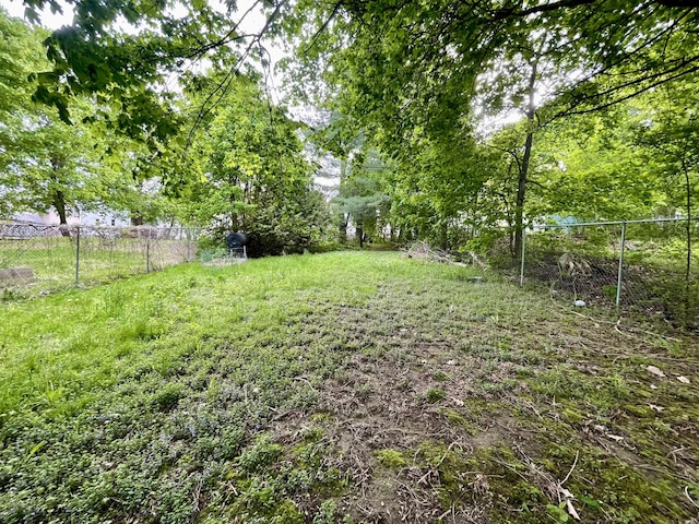 363 Broadway, Bangor, ME 04401 - view of yard