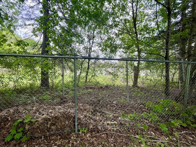 363 Broadway, Bangor, ME 04401 - view of yard