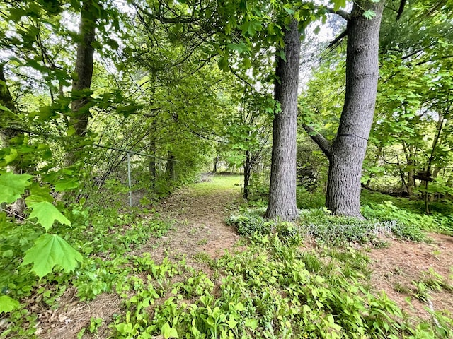 363 Broadway, Bangor, ME 04401 - view of nature