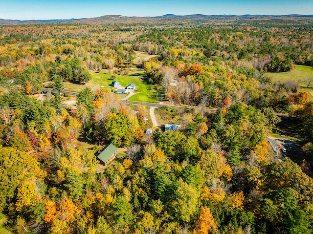 drone / aerial view featuring a mountain view