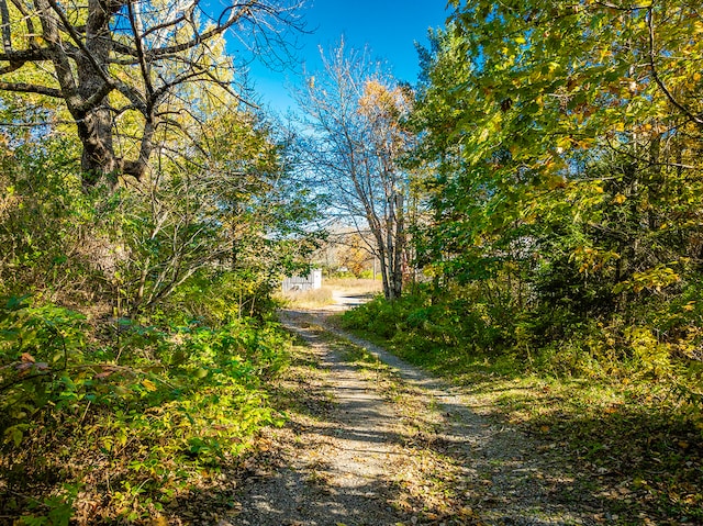 view of road