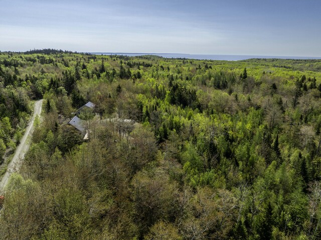 10 Bog Brook Way, Cutler, ME 04626 - bird's eye view of a forest