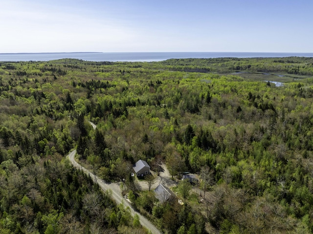 10 Bog Brook Way, Cutler, ME 04626 - aerial view of a heavily wooded area and a large body of water