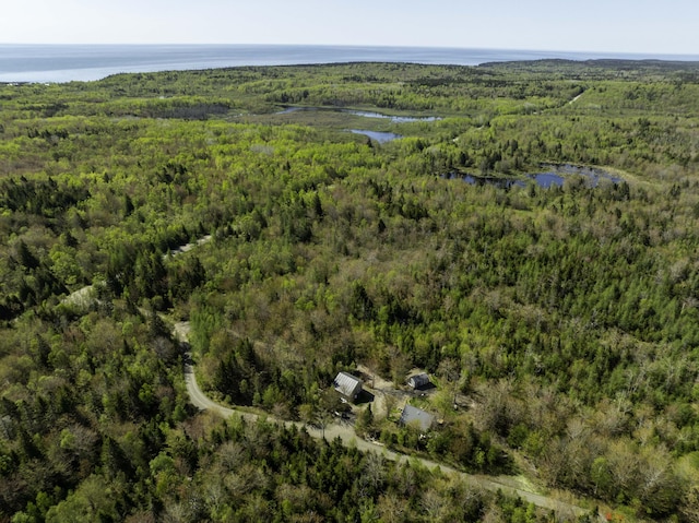 10 Bog Brook Way, Cutler, ME 04626 - view of property location featuring a forest and a nearby body of water