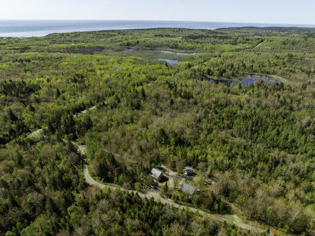 10 Bog Brook Way, Cutler, ME 04626 - view of property location featuring a forest and a nearby body of water