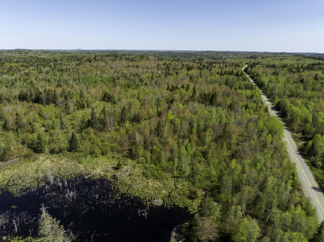 10 Bog Brook Way, Cutler, ME 04626 - aerial overview of property's location featuring a heavily wooded area