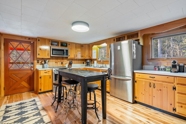 kitchen with sink, light wood-type flooring, and stainless steel appliances