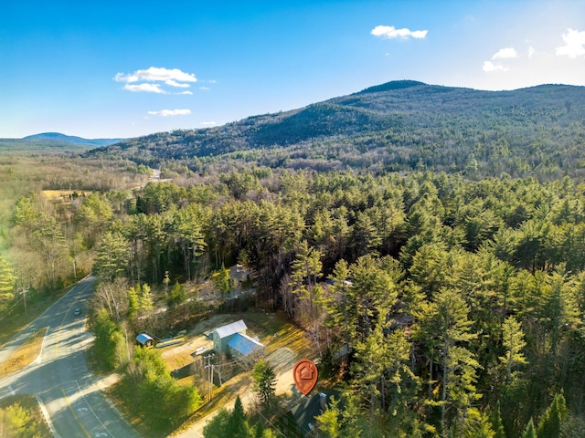 bird's eye view with a mountain view