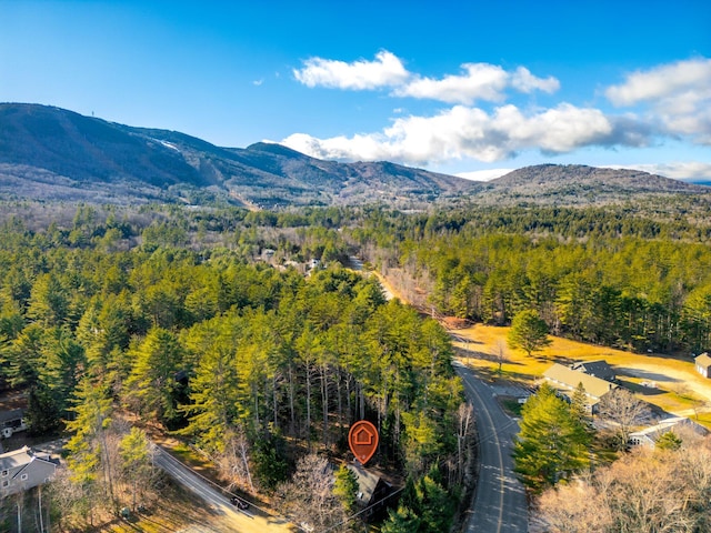 view of mountain feature