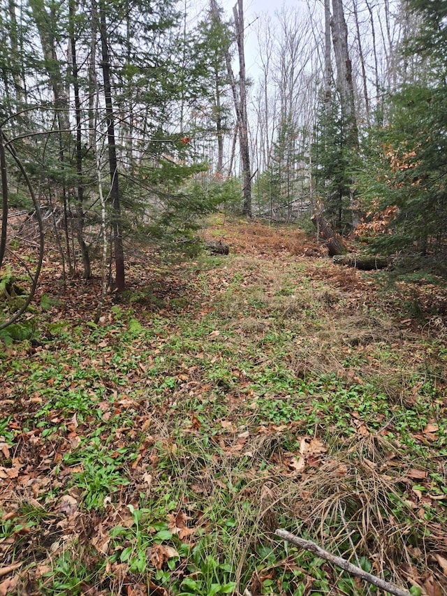 view of local wilderness