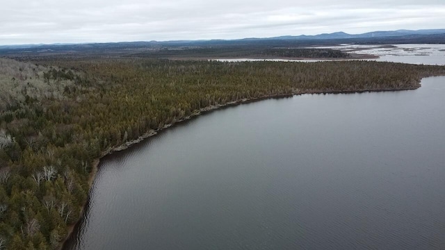 birds eye view of property with a water and mountain view