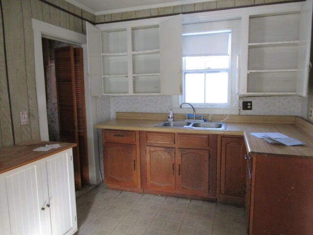 kitchen with sink and ornamental molding