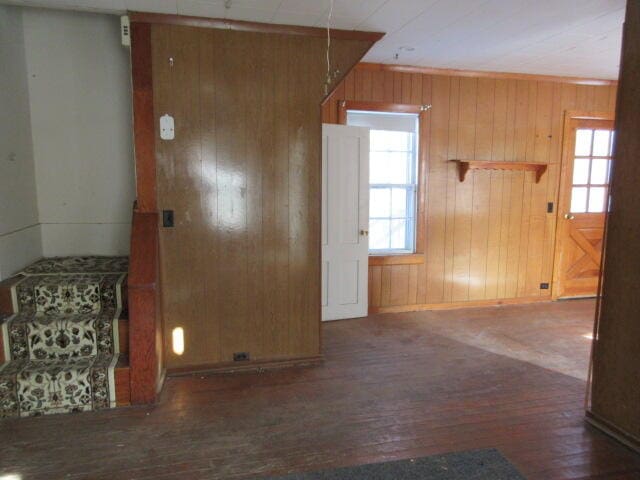 interior space featuring a wealth of natural light, dark hardwood / wood-style flooring, and wood walls