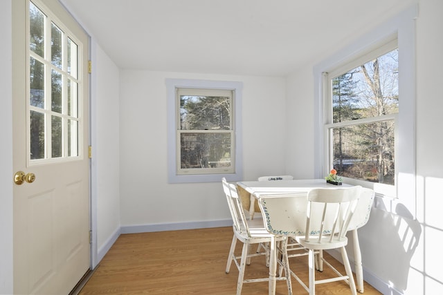 dining room featuring wood-type flooring