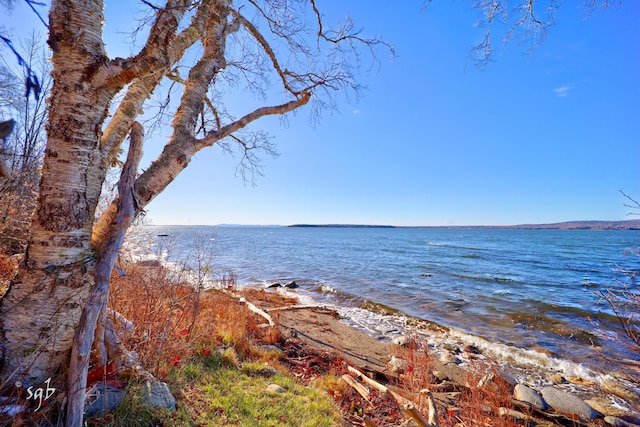 1596 Castine Rd, Penobscot, ME 04476 - photo 6