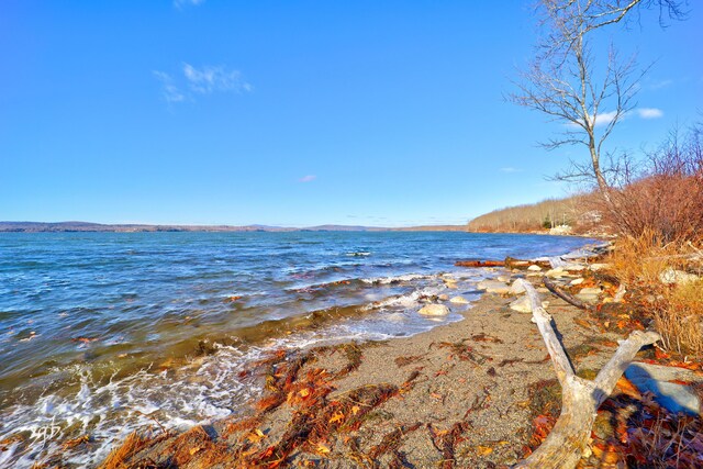 1596 Castine Rd, Penobscot, ME 04476 - photo 7