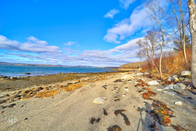 1596 Castine Rd, Penobscot, ME 04476 - photo 8