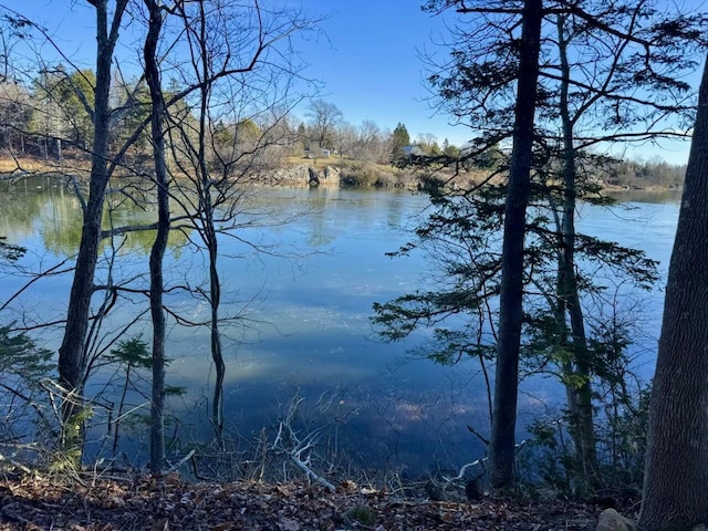 view of water feature