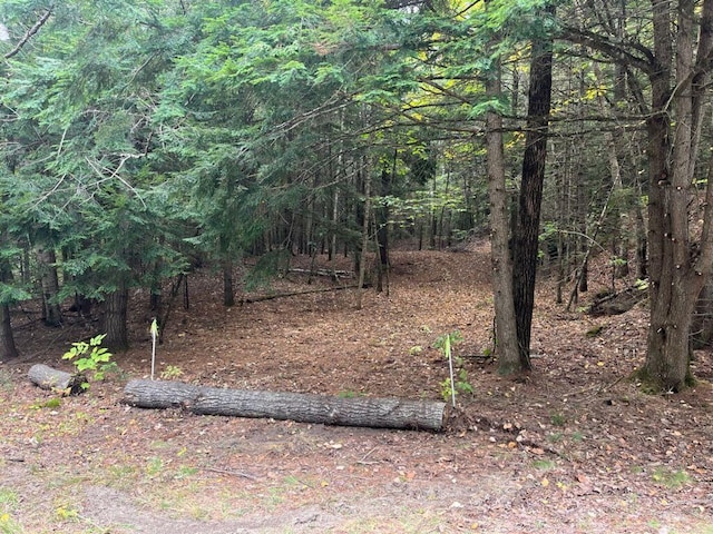 00 Litchfield Rd, Bowdoin ME, 04287 land for sale