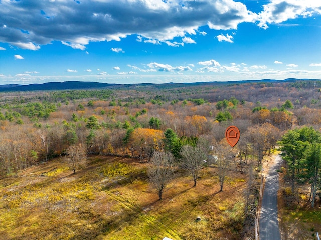 bird's eye view featuring a mountain view