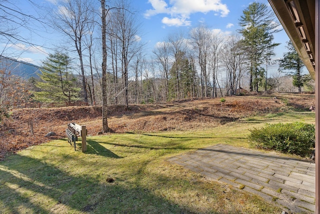 view of yard