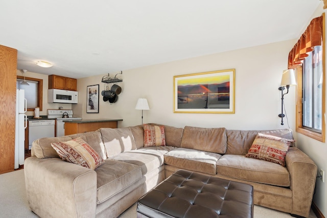 living room featuring light carpet