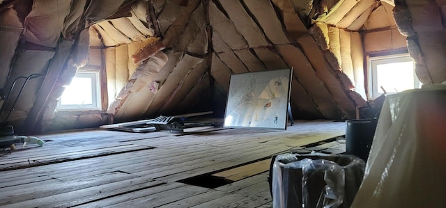 view of attic