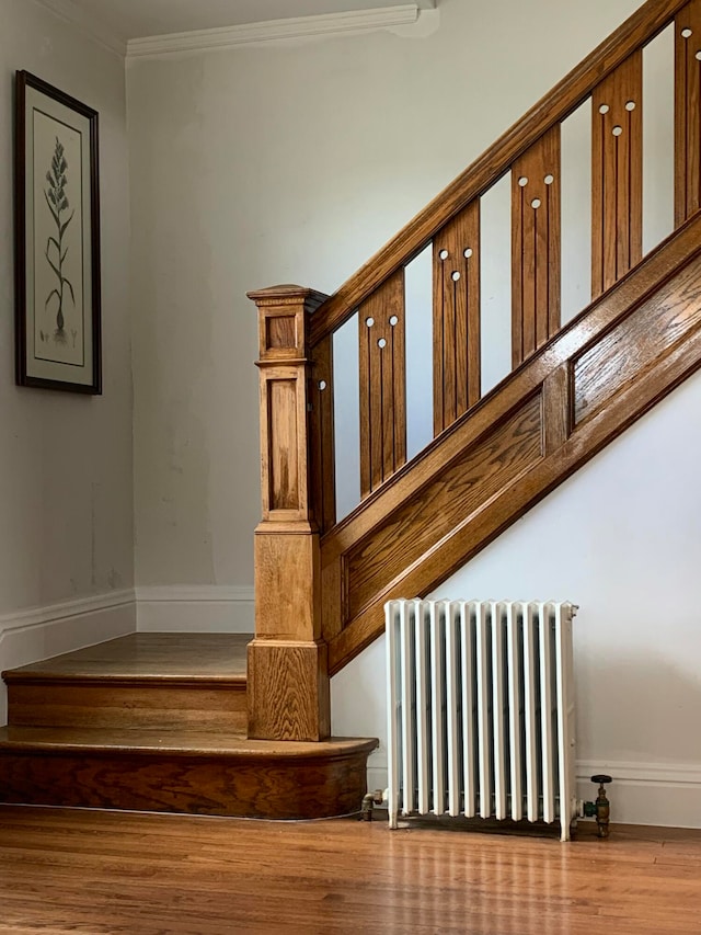 stairway with wood-type flooring, ornamental molding, and radiator