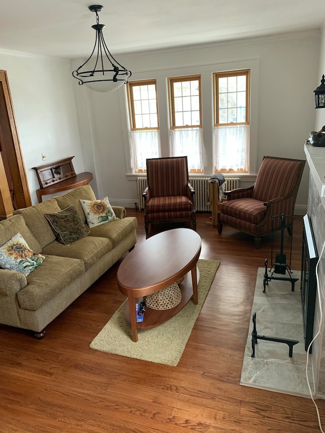 living room featuring dark hardwood / wood-style flooring, ornamental molding, and radiator heating unit