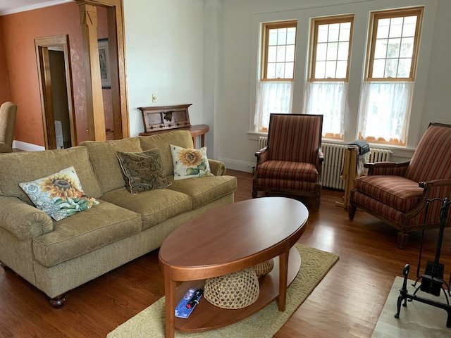 living room with crown molding, hardwood / wood-style floors, and radiator heating unit