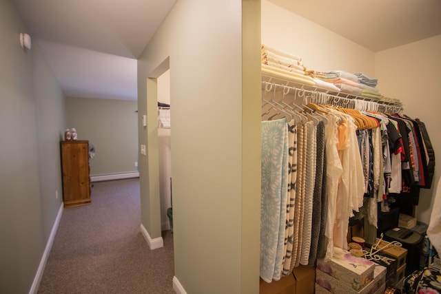 walk in closet featuring carpet floors and a baseboard radiator