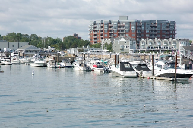 dock area with a water view