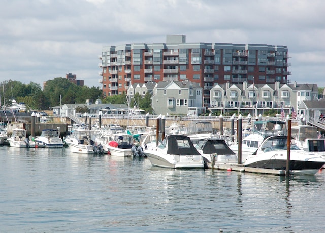 dock area with a water view