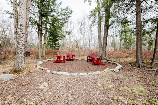 view of jungle gym