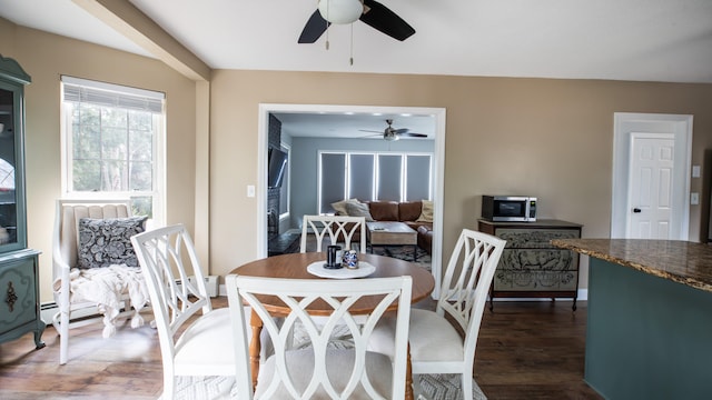 dining room featuring ceiling fan and dark hardwood / wood-style floors