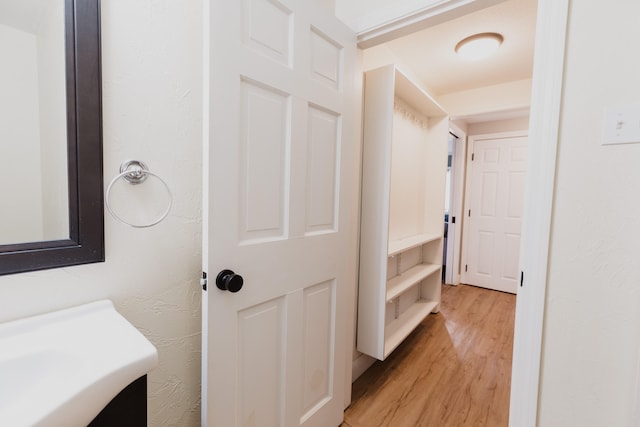 bathroom with hardwood / wood-style floors