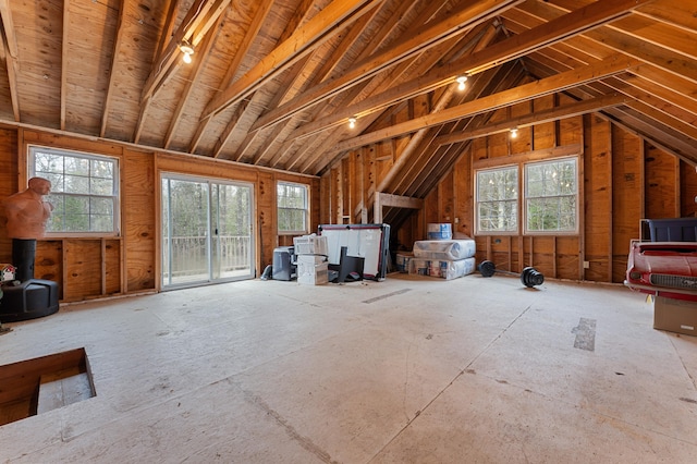 attic featuring plenty of natural light