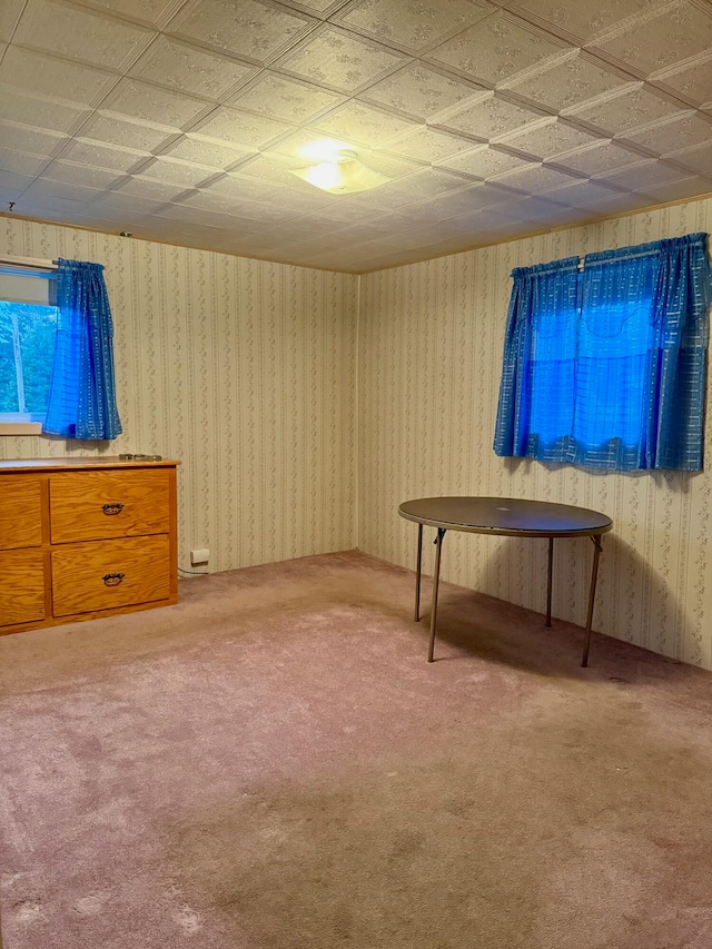 interior space featuring carpet floors and a paneled ceiling