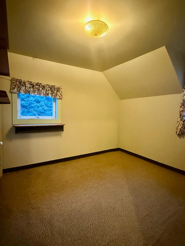 additional living space featuring carpet and vaulted ceiling